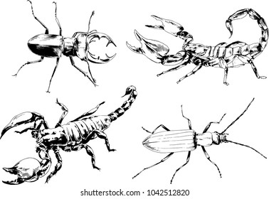 vector drawings sketches different insects bugs Scorpions spiders drawn in ink by hand , objects with no background
