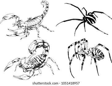 vector drawings sketches different insects bugs Scorpions spiders drawn in ink by hand , objects with no background