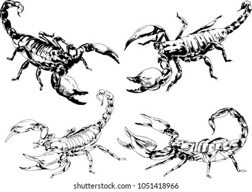 vector drawings sketches different insects bugs Scorpions spiders drawn in ink by hand , objects with no background