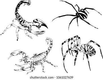 vector drawings sketches different insects bugs Scorpions spiders drawn in ink by hand , objects with no background
