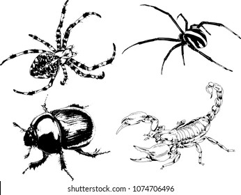 vector drawings sketches different insects bugs Scorpions spiders drawn in ink by hand , objects with no background
