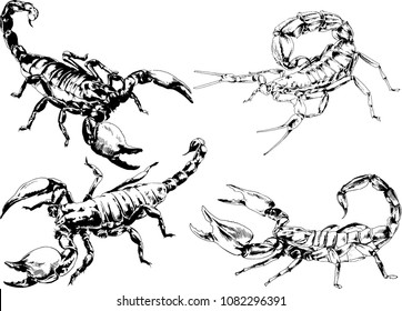 vector drawings sketches different insects bugs Scorpions spiders drawn in ink by hand , objects with no background
