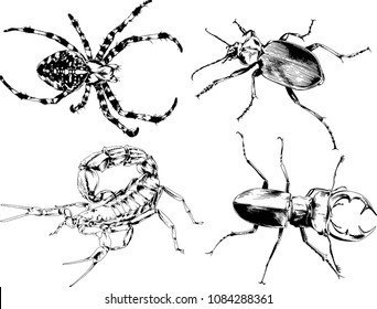 vector drawings sketches different insects bugs Scorpions spiders drawn in ink by hand , objects with no background
