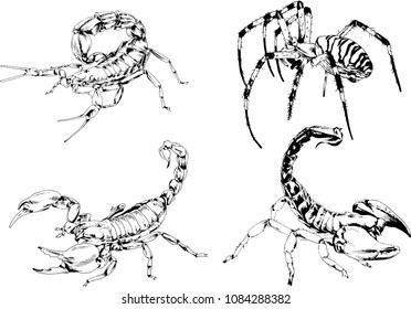vector drawings sketches different insects bugs Scorpions spiders drawn in ink by hand , objects with no background
