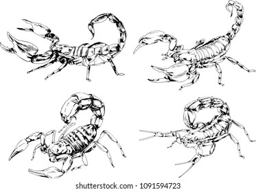 vector drawings sketches different insects bugs Scorpions spiders drawn in ink by hand , objects with no background
