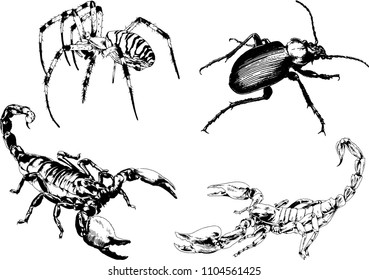 vector drawings sketches different insects bugs Scorpions spiders drawn in ink by hand , objects with no background
