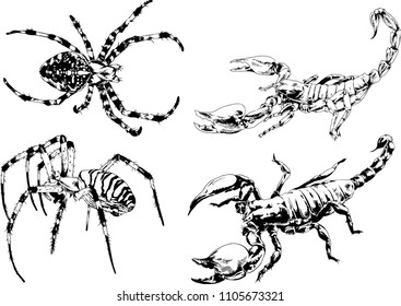 vector drawings sketches different insects bugs Scorpions spiders drawn in ink by hand , objects with no background
