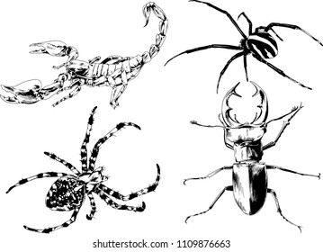 vector drawings sketches different insects bugs Scorpions spiders drawn in ink by hand , objects with no background
