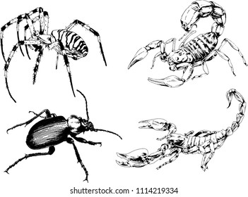 vector drawings sketches different insects bugs Scorpions spiders drawn in ink by hand , objects with no background
