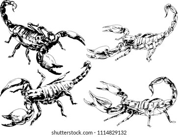 vector drawings sketches different insects bugs Scorpions spiders drawn in ink by hand , objects with no background
