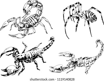 vector drawings sketches different insects bugs Scorpions spiders drawn in ink by hand , objects with no background