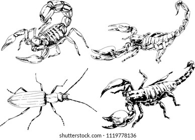 vector drawings sketches different insects bugs Scorpions spiders drawn in ink by hand , objects with no background