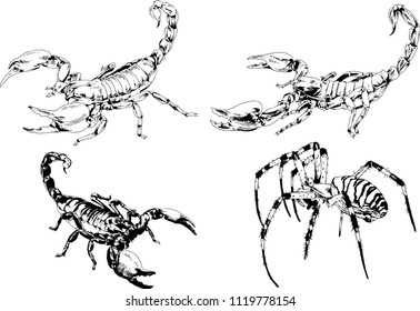 vector drawings sketches different insects bugs Scorpions spiders drawn in ink by hand , objects with no background