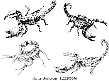 vector drawings sketches different insects bugs Scorpions spiders drawn in ink by hand , objects with no background