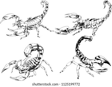 vector drawings sketches different insects bugs Scorpions spiders drawn in ink by hand , objects with no background