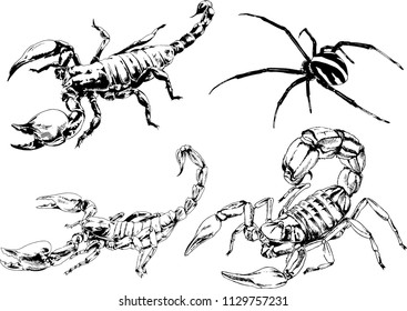 vector drawings sketches different insects bugs Scorpions spiders drawn in ink by hand , objects with no background