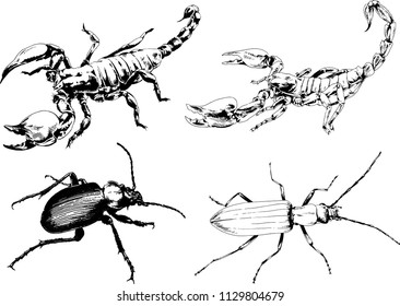 vector drawings sketches different insects bugs Scorpions spiders drawn in ink by hand , objects with no background