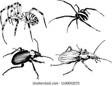 vector drawings sketches different insects bugs Scorpions spiders drawn in ink by hand , objects with no background