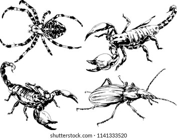 vector drawings sketches different insects bugs Scorpions spiders drawn in ink by hand , objects with no background