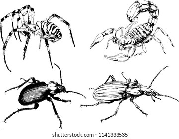 vector drawings sketches different insects bugs Scorpions spiders drawn in ink by hand , objects with no background