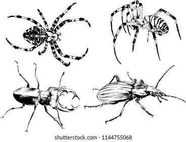 vector drawings sketches different insects bugs Scorpions spiders drawn in ink by hand , objects with no background