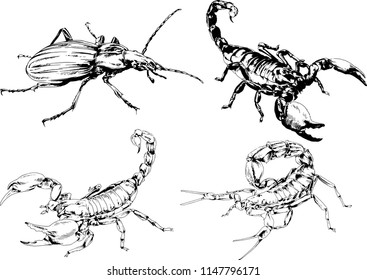 vector drawings sketches different insects bugs Scorpions spiders drawn in ink by hand , objects with no background