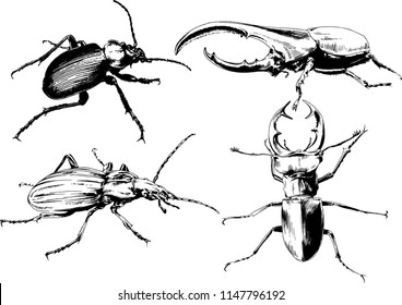 vector drawings sketches different insects bugs Scorpions spiders drawn in ink by hand , objects with no background