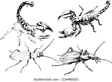 vector drawings sketches different insects bugs Scorpions spiders drawn in ink by hand , objects with no background