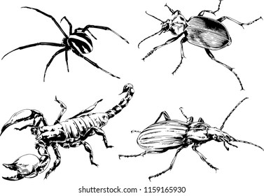 vector drawings sketches different insects bugs Scorpions spiders drawn in ink by hand , objects with no background