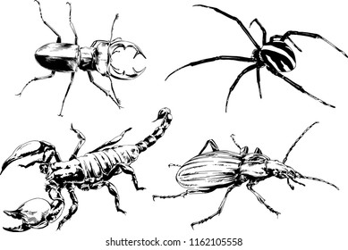 vector drawings sketches different insects bugs Scorpions spiders drawn in ink by hand , objects with no background