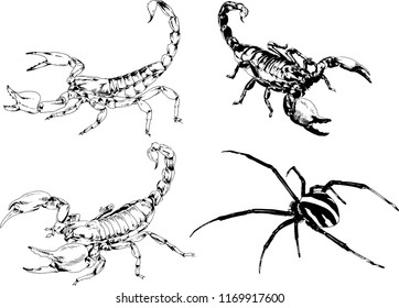 vector drawings sketches different insects bugs Scorpions spiders drawn in ink by hand , objects with no background