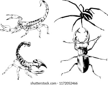 vector drawings sketches different insects bugs Scorpions spiders drawn in ink by hand , objects with no background