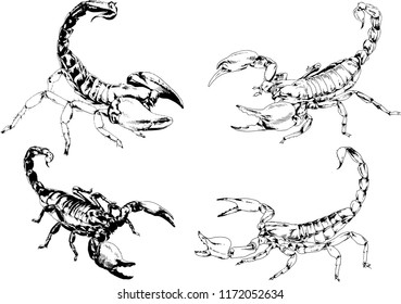 vector drawings sketches different insects bugs Scorpions spiders drawn in ink by hand , objects with no background