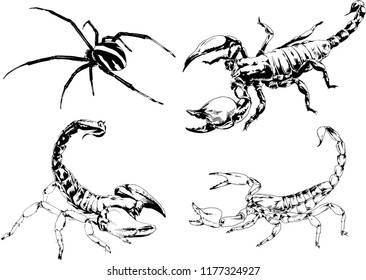 vector drawings sketches different insects bugs Scorpions spiders drawn in ink by hand , objects with no background