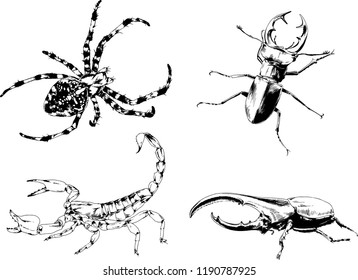 vector drawings sketches different insects bugs Scorpions spiders drawn in ink by hand , objects with no background