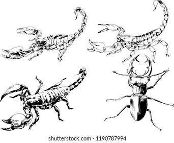 vector drawings sketches different insects bugs Scorpions spiders drawn in ink by hand , objects with no background