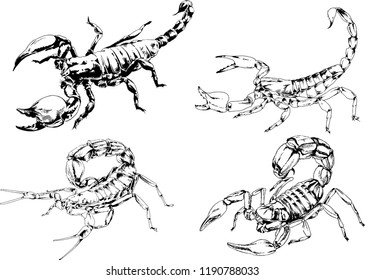 vector drawings sketches different insects bugs Scorpions spiders drawn in ink by hand , objects with no background