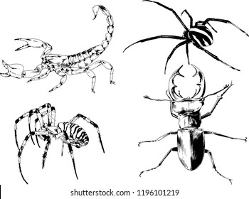 vector drawings sketches different insects bugs Scorpions spiders and beetles drawn in ink by hand , objects with no background