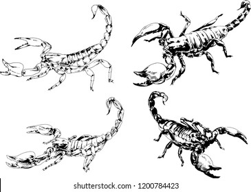 vector drawings sketches different insects bugs Scorpions spiders drawn in ink by hand , objects with no background