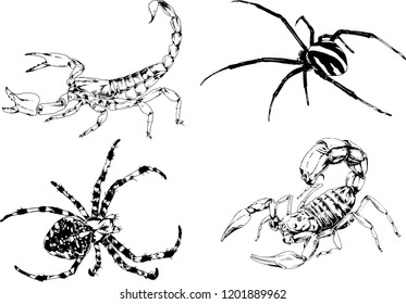 vector drawings sketches different insects bugs Scorpions spiders drawn in ink by hand , objects with no background