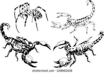 vector drawings sketches different insects bugs Scorpions spiders drawn in ink by hand , objects with no background