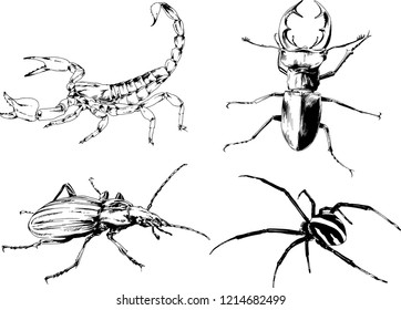 vector drawings sketches different insects bugs Scorpions spiders drawn in ink by hand , objects with no background