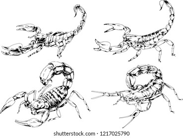 vector drawings sketches different insects bugs Scorpions spiders drawn in ink by hand , objects with no background