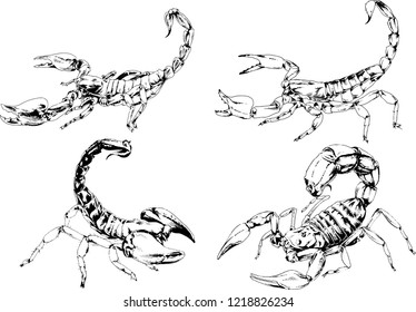vector drawings sketches different insects bugs Scorpions drawn in ink by hand , objects with no background