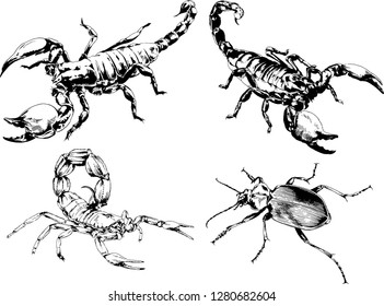 vector drawings sketches different insects bugs Scorpions spiders drawn in ink by hand , objects with no background