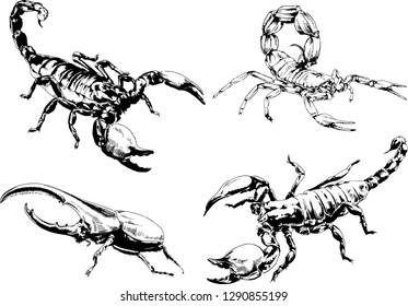 vector drawings sketches different insects bugs Scorpions spiders drawn in ink by hand , objects with no background