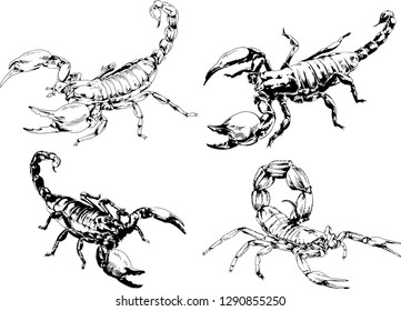vector drawings sketches different insects bugs Scorpions spiders drawn in ink by hand , objects with no background