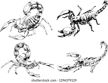 vector drawings sketches different insects bugs Scorpions spiders drawn in ink by hand , objects with no background