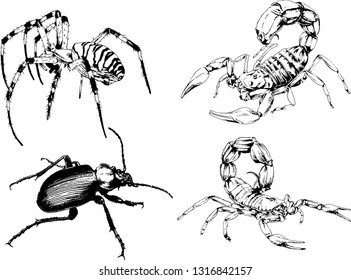 vector drawings sketches different insects bugs Scorpions spiders drawn in ink by hand , objects with no background
