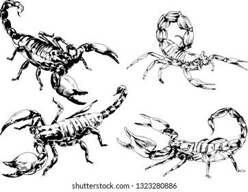 vector drawings sketches different insects bugs Scorpions spiders drawn in ink by hand , objects with no background